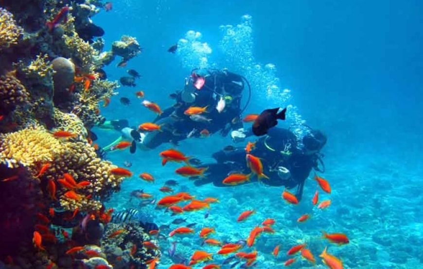 03 Portblair – 02 Havelock – 01 Neil island