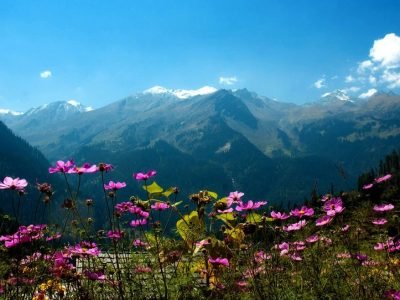 manali Volvo Packages