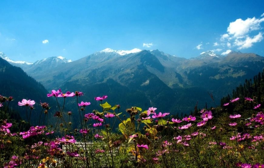 02 Shimla – 02 Manali Ex Delhi